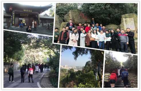 ������ʱ - �������ǲ�