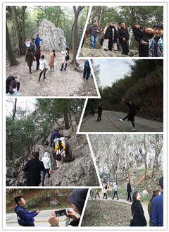 ������ʱ - �������ǲ�