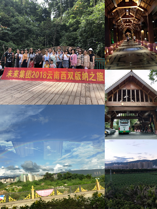 ������ʱ - �������ǲ�