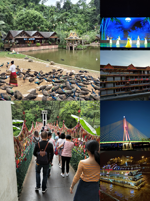 ������ʱ - �������ǲ�