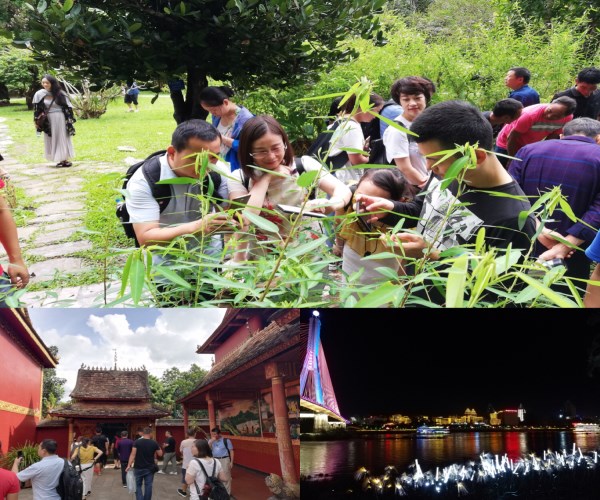 ������ʱ - �������ǲ�