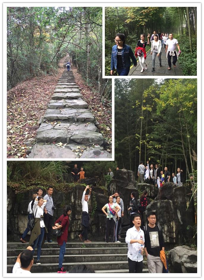 ������ʱ - �������ǲ�