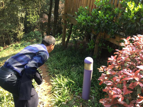 ������ʱ - �������ǲ�