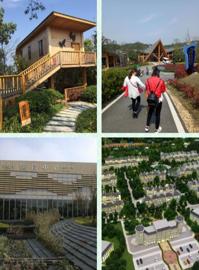 ������ʱ - �������ǲ�