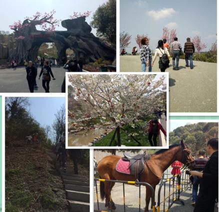 ������ʱ - �������ǲ�