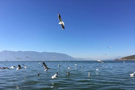 ������ʱ - �������ǲ�