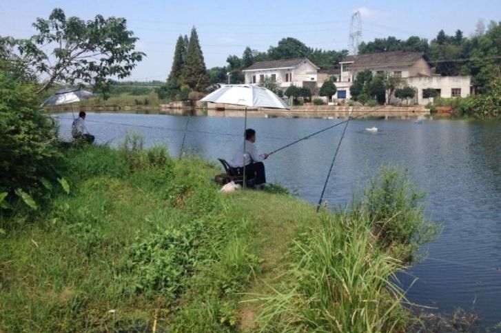 ������ʱ - �������ǲ�