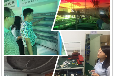 ������ʱ - �������ǲ�